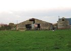 IMG 0315