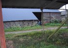 IMG 0331