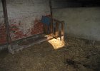 IMG 0365