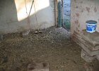 IMG 0366