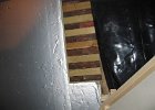 IMG 0442
