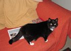 IMG 0457