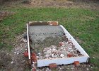 IMG 0610