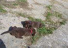 IMG 0654