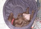 IMG 0659
