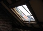 IMG 1498