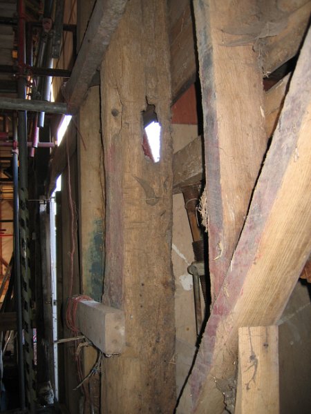 IMG 0998