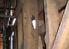 IMG 0998