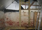 IMG 1024