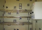 IMG 0231