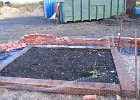 IMG 0851