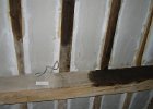 IMG 0881