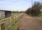 IMG 0890