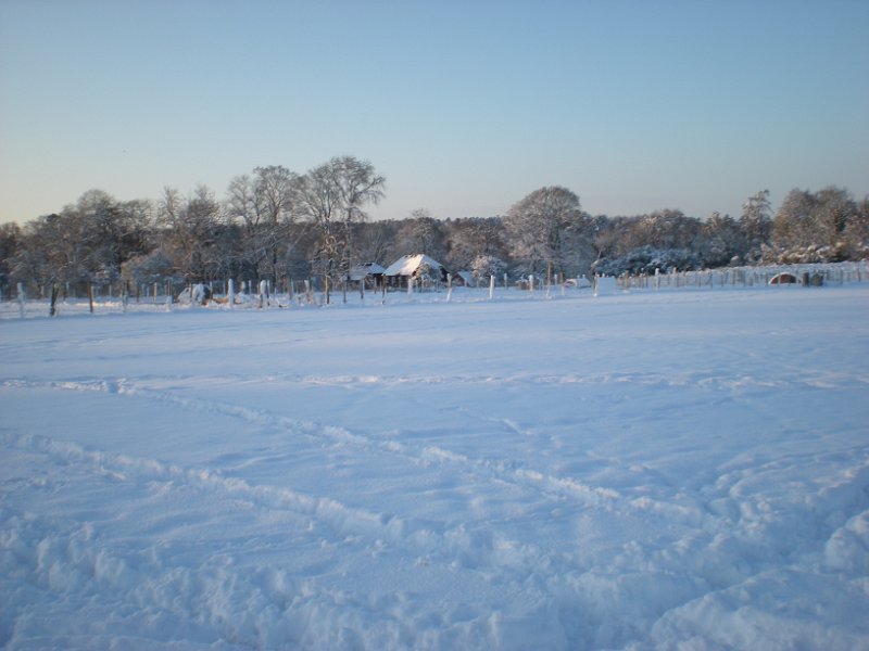 DSCN0775