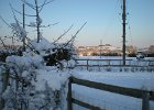 DSCN0768