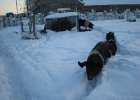 DSCN0769