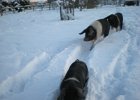 DSCN0770