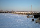 DSCN0776