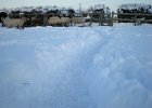 DSCN0777